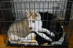 Trasforma la tua camera in un ambiente sano per dormire meglio e vivere bene