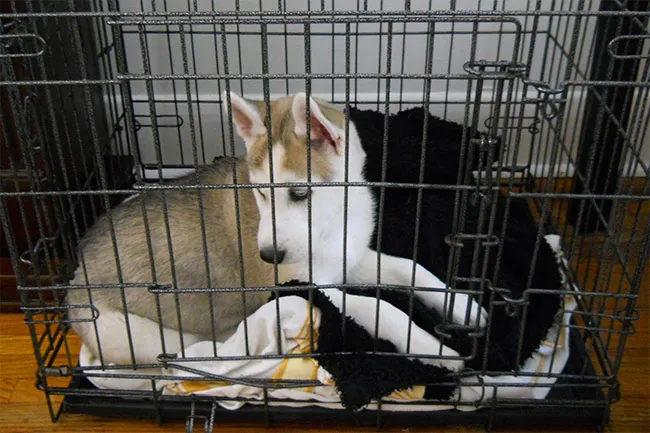 Trasforma la tua camera in un ambiente sano per dormire meglio e vivere bene