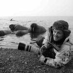 Doug Allan: il cameraman che ha immortalato la fauna in ambienti estremi.