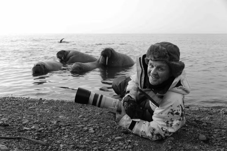 Doug Allan: il cameraman che ha immortalato la fauna in ambienti estremi.