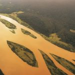 Un anno positivo per le foreste: meno cambiamenti di quanto appaia realmente.