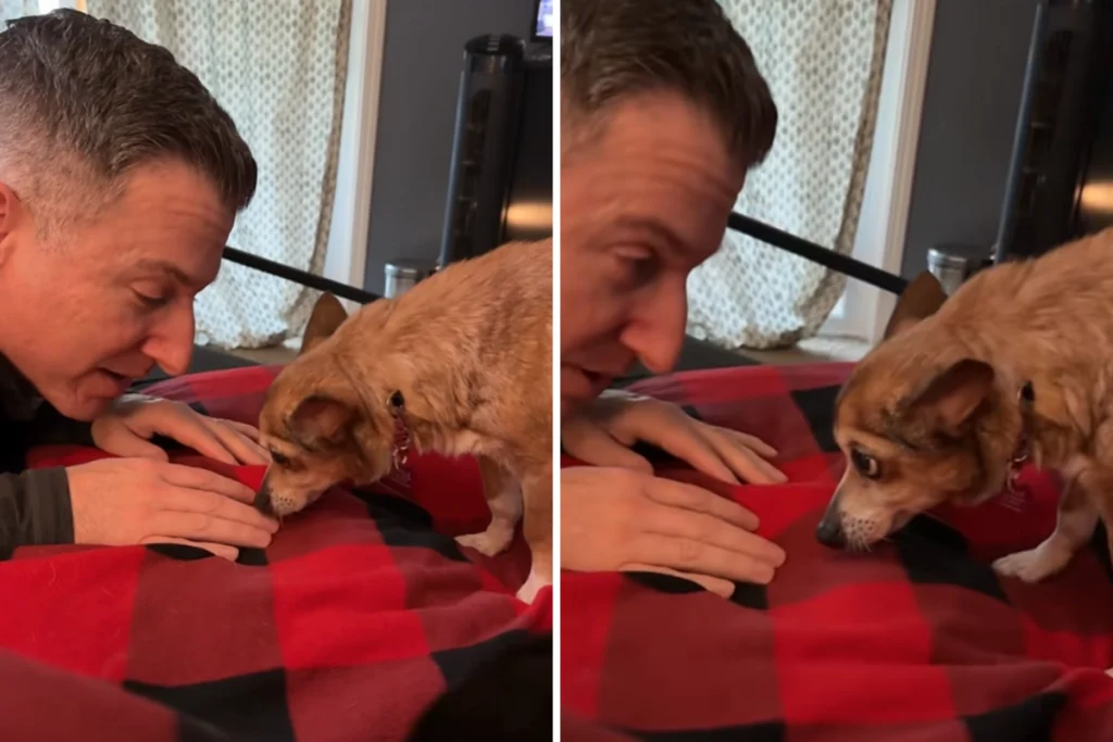 Un cane anziano si fida finalmente del suo padrone adottivo: un momento emozionante