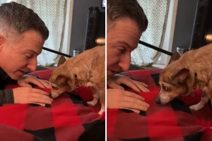 Un cane anziano si fida finalmente del suo padrone adottivo: un momento emozionante