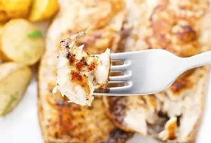 Grassi sani per dimagrire: alimenti gustosi e benefici per la tua dieta equilibrata