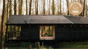 Riscoprire la potenza del yoga grazie a una cabin nel bosco. Un amore ritrovato.