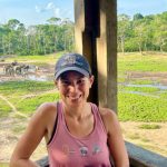 Studio della più grande riunione di elefanti della foresta attraverso suoni e osservazioni sul campo.