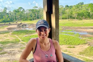 Studio della più grande riunione di elefanti della foresta attraverso suoni e osservazioni sul campo.