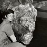 Muore a 72 anni Nan Schaffer, veterinaria pioniera nella riproduzione dei rinoceronti.