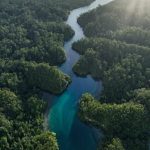 La conservazione significativa richiede verità, non solo dati, afferma l’ecologo politico.