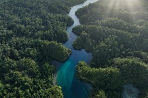 La conservazione significativa richiede verità, non solo dati, afferma l’ecologo politico.