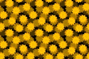 Hack da milioni: Drift sospende depositi e prelievi su piattaforma DeFi.