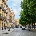 Città più verdi, città più fresche: il ruolo della vegetazione contro il caldo urbano