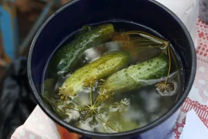 Benefici sorprendenti del cetriolo per salute e benessere quotidiano