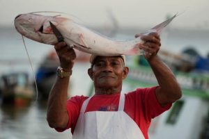 Nuove leggi per proteggere il pesce gatto migratore dell’Amazzonia in diversi paesi.