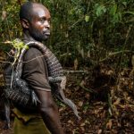 Aumento del consumo di animali selvatici in Africa centrale, secondo uno studio recente.