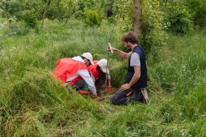 E.ON: oltre 150.000 alberi piantati con il Progetto Boschi per un futuro sostenibile.