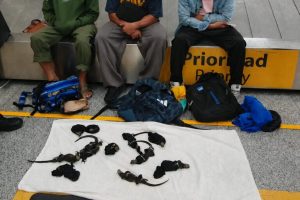 Tre thailandesi arrestati in Ecuador per traffico di iguane delle Galápagos.