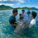 Comune thailandese si unisce per proteggere i dugonghi e ristabilire le praterie marine.