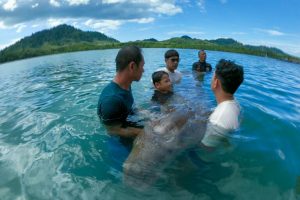 Comune thailandese si unisce per proteggere i dugonghi e ristabilire le praterie marine.