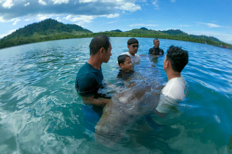 Comune thailandese si unisce per proteggere i dugonghi e ristabilire le praterie marine.
