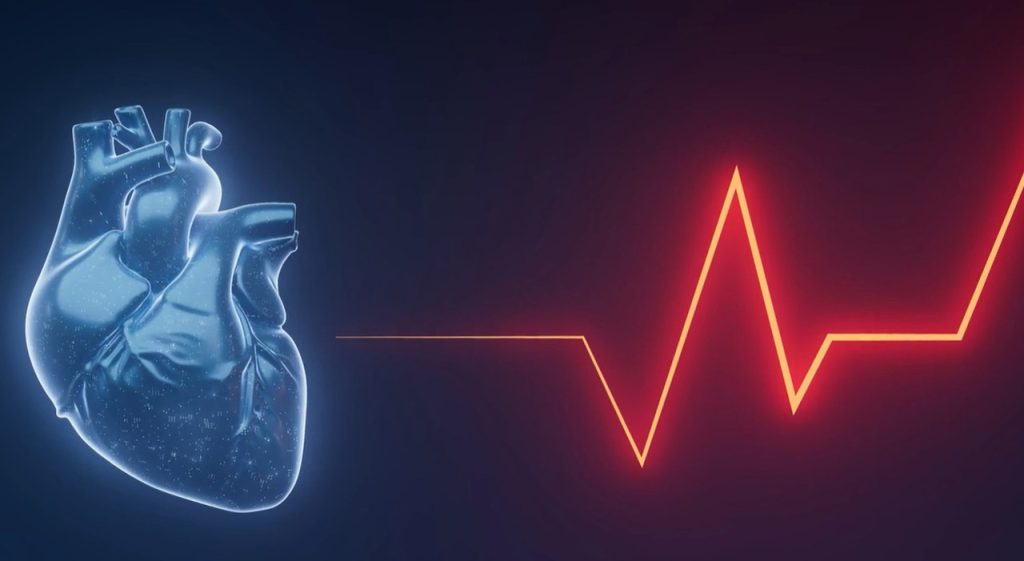 Cuore: un battito lento può aumentare il rischio di ictus