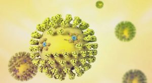 Nuovo coronavirus nei pipistrelli thailandesi: scienziati allertati per somiglianze con il COVID-19.