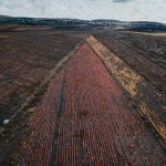 Dopo il boom della quinoa, agricoltori boliviani affrontano suoli degradati e stress climatico.