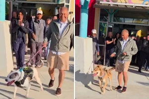 Il dolce momento dell’adozione: il cane del rifugio felice dopo 831 giorni.