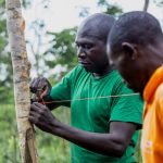 Allerta radio e satellitari: una soluzione per agricoltori zambiani e fauna selvatica pericolosa.