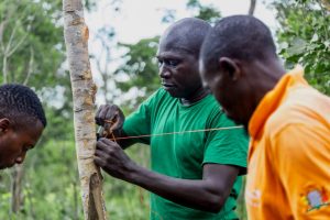 Allerta radio e satellitari: una soluzione per agricoltori zambiani e fauna selvatica pericolosa.
