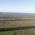 Paraguay amplia riserva nel Gran Chaco, ma la deforestazione continua ad aumentare. Perché?