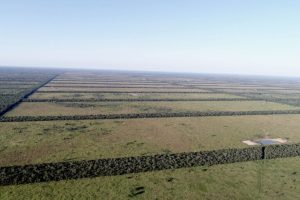 Paraguay amplia riserva nel Gran Chaco, ma la deforestazione continua ad aumentare. Perché?