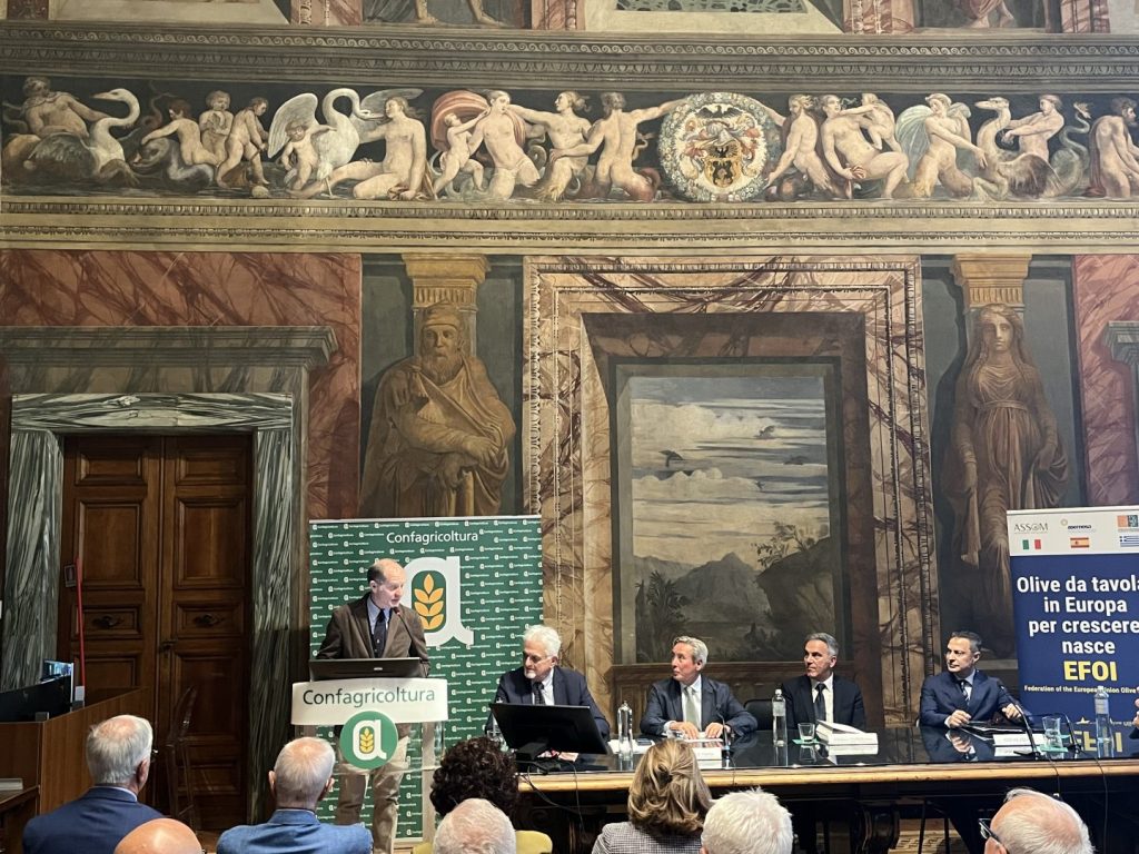 Efoi: La piattaforma che valorizza i produttori europei di olive da tavola.