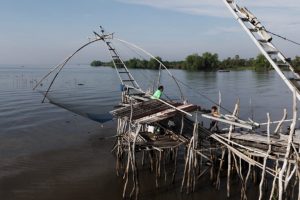 Thailandia: il destino delle famose reti giganti è in pericolo.
