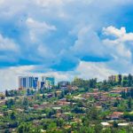 Al caldo delle città africane, un libro sostiene che gli alberi possono essere la soluzione.