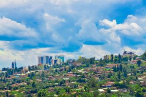 Al caldo delle città africane, un libro sostiene che gli alberi possono essere la soluzione.