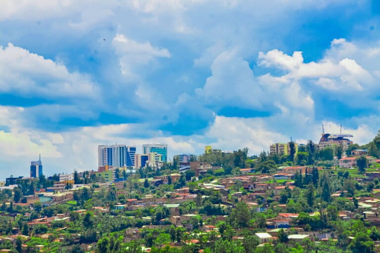 Al caldo delle città africane, un libro sostiene che gli alberi possono essere la soluzione.