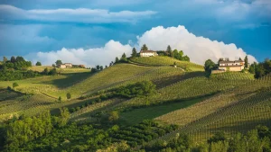 Piemont: il gioiello nascosto d’Italia da scoprire nel 2026.