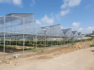 In Sicilia il primo impianto agrivoltaico con tecnologia “Serra Archimede®”