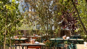 Scopri i migliori 11 rooftop bar a Shoreditch, Londra, per serate indimenticabili all’aperto.