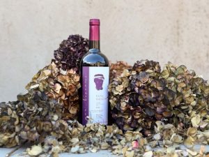 Feudi del Pisciotto presenta Fata Nascim: il nuovo vino dedicato a Niscemi.