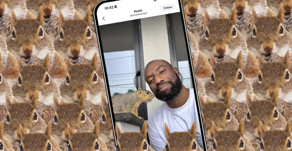 Il papà scoiattolo dell’internet crea un’app fotografica di successo.