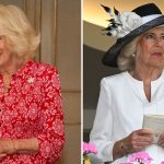 Il misterioso anello di Camilla con simboli antichi torna in voga nel 2026.