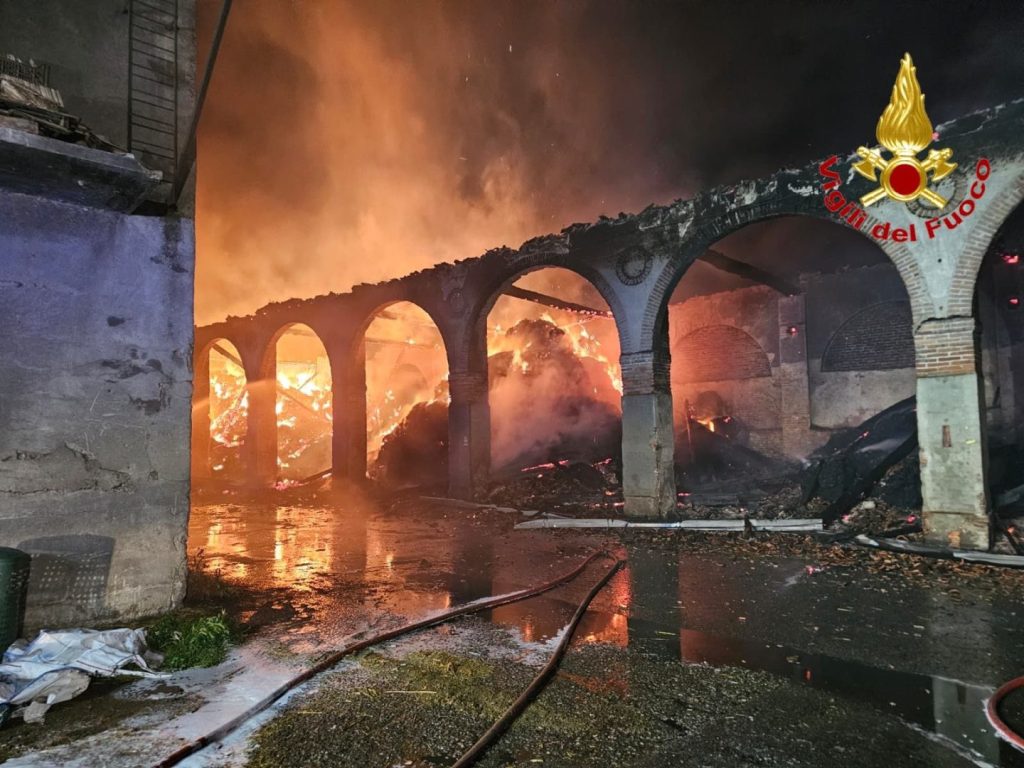 Incendio a Cascina Rancate: salvate 510 mucche nel Milanese. Guarda il video!