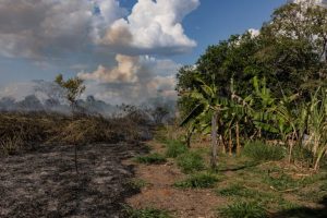 Deforestazione e riscaldamento minacciano l’Amazzonia: rischio di collasso entro il 2040.