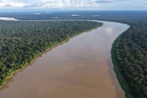 Il Brasile ha preservato l’Amazzonia, ora deve affrontare le conseguenze economiche.