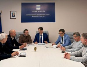 Basilicata lancia campagna di forestazione 2026: un passo verso un futuro verde e sostenibile.