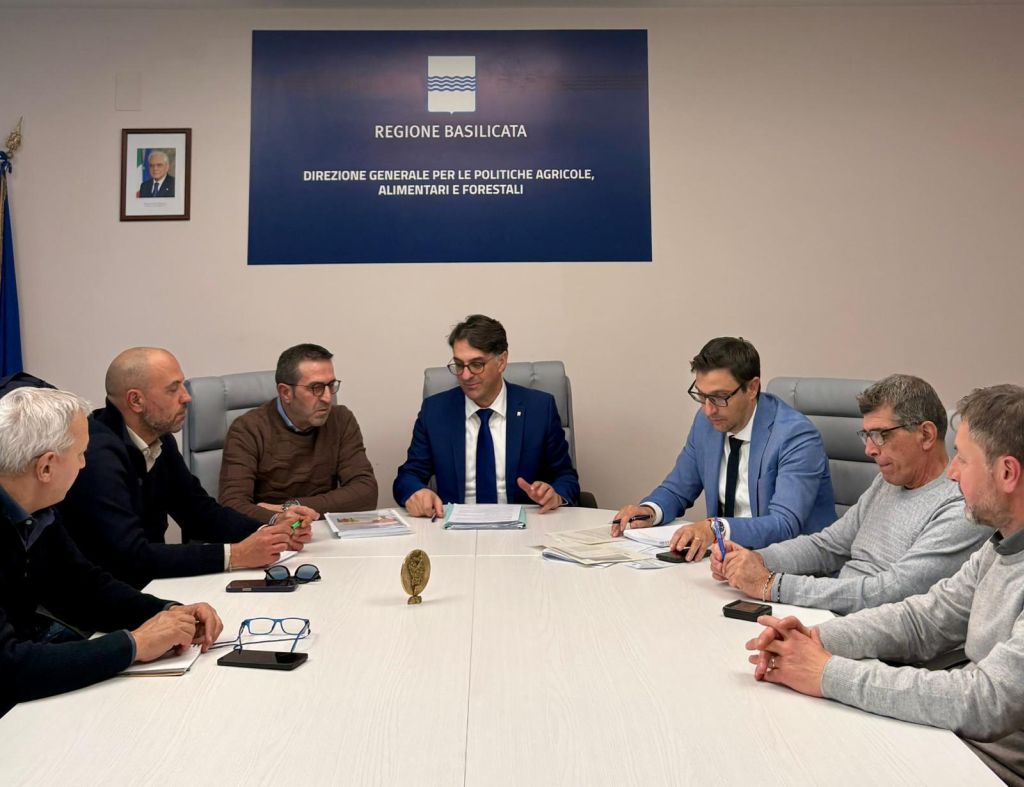 Basilicata lancia campagna di forestazione 2026: un passo verso un futuro verde e sostenibile.