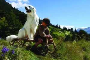 Belle & Sebastien – L’avventura Continua su Italia 1, Stasera in TV del 30 maggio 2026