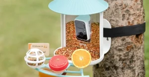 Offerta imperdibile: il mangiatoia intelligente Birdfy a prezzo mai visto per la Festa della Mamma.